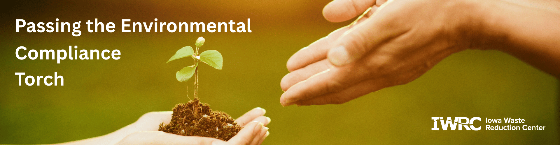 One handing passing of a seedling to a another hand