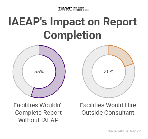 IAEAP's Impact on Report Completion