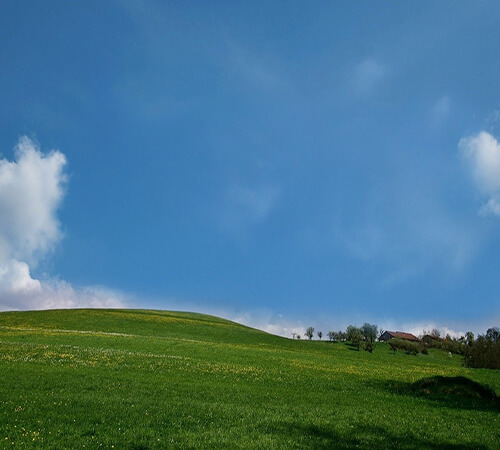 farm landscape scene with blue sky and green rolling hills