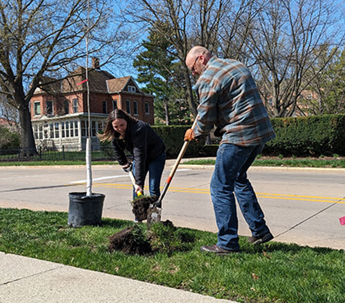man and woman in work clothes and shovels planting a tree
