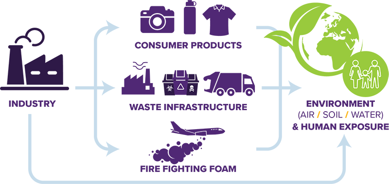 PFAS exposure infographic