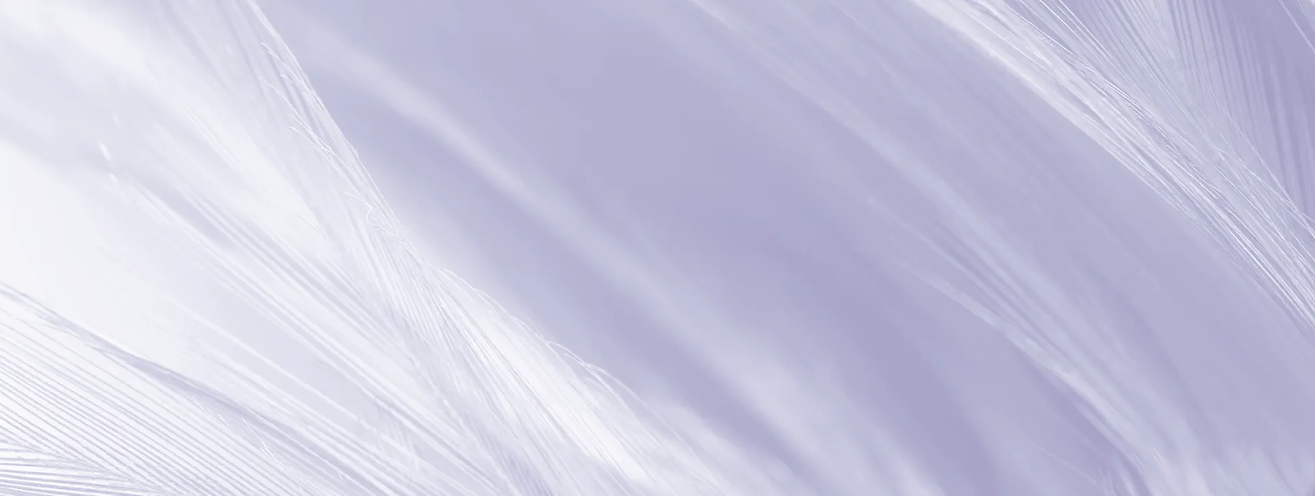 Abstract purple and white wavy lines background